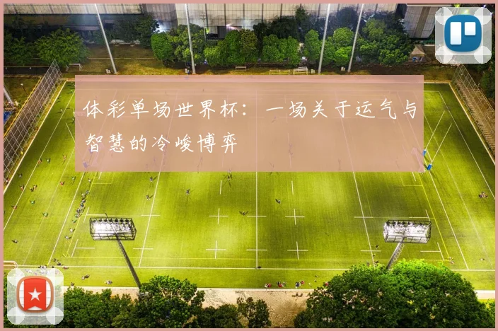 体彩单场世界杯：一场关于运气与智慧的冷峻博弈