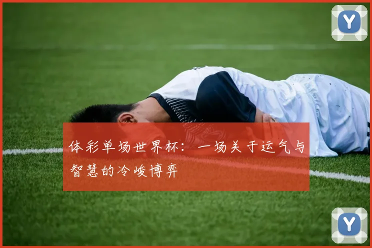体彩单场世界杯：一场关于运气与智慧的冷峻博弈