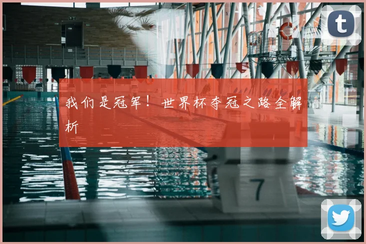 我们是冠军！世界杯夺冠之路全解析