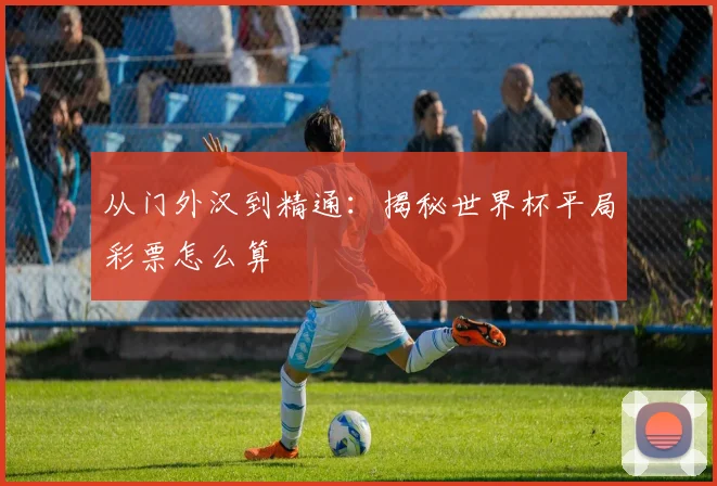从门外汉到精通：揭秘世界杯平局彩票怎么算