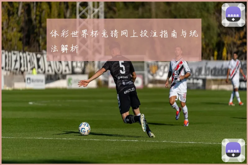 体彩世界杯竞猜网上投注指南与玩法解析