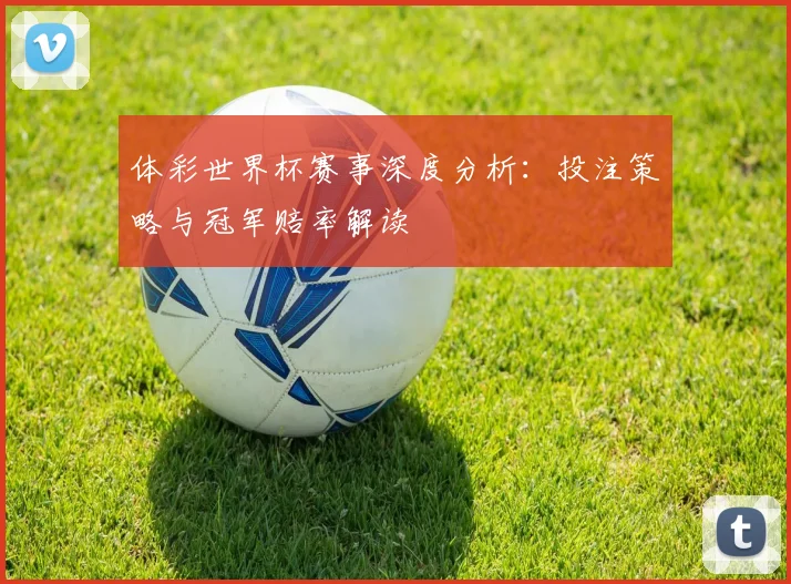 体彩世界杯赛事深度分析：投注策略与冠军赔率解读