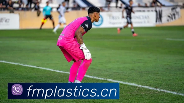 App Interface Preview